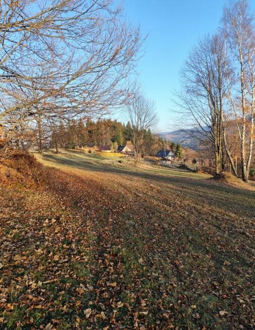 Sprzedam działkę widokową w Zawoi. Widok na Babią Górę.