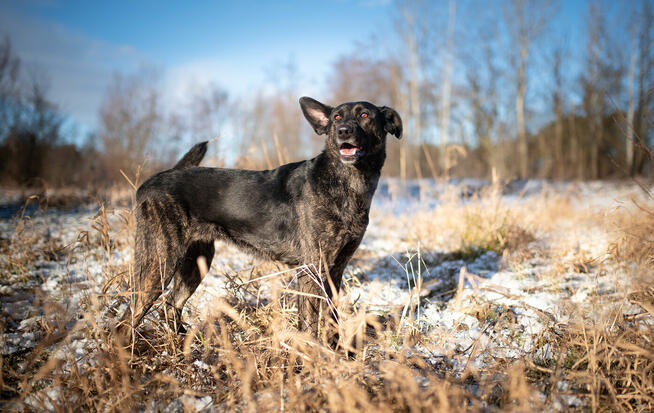 Axa - cudowna dziewczyna do pokochania od zaraz!