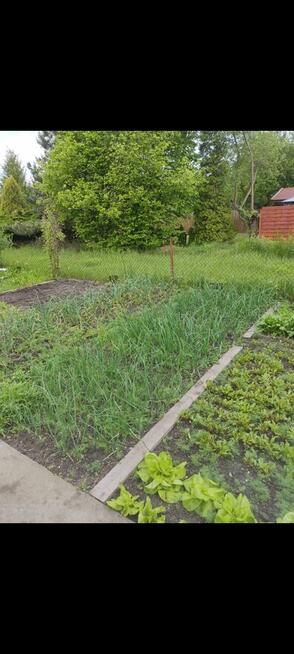 Działka rekreacyjna ROD Marii Konopnickiej Dzbów