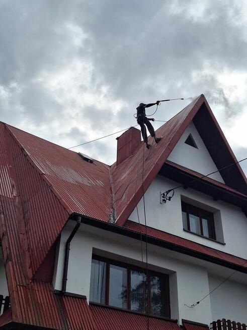 Malowanie dachów