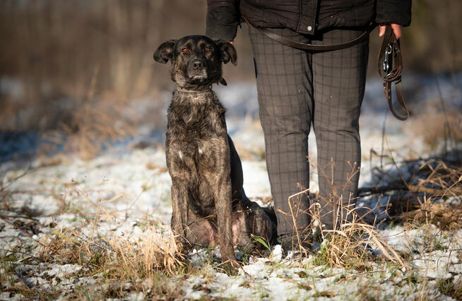Axa - cudowna dziewczyna do pokochania od zaraz!