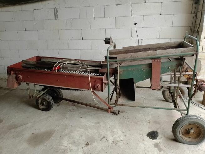 Sortownik do ziemniaków