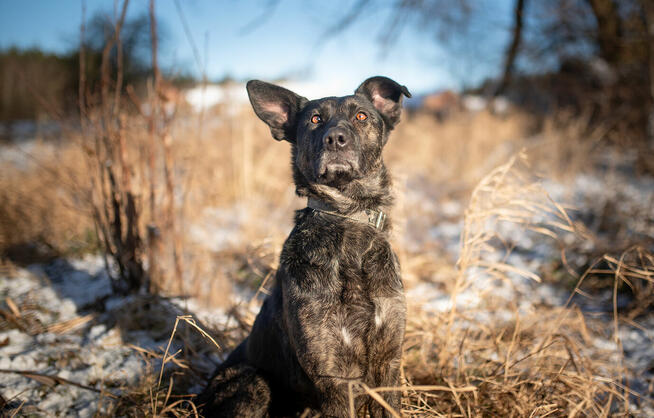 Axa - cudowna dziewczyna do pokochania od zaraz!