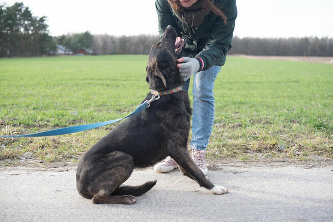 Axa - cudowna dziewczyna do pokochania od zaraz!