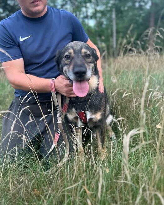 Borys - zakochany w człowieku, wspaniały pies!