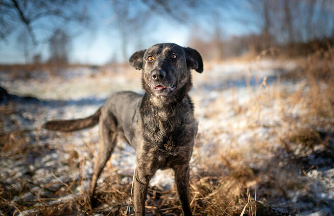 Axa - cudowna dziewczyna do pokochania od zaraz!