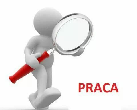 Pomocnik ogólnobudowlany (pracownik fizyczny )