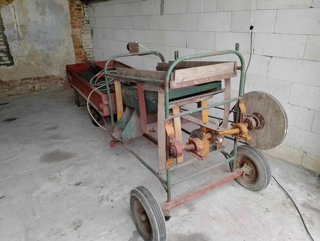 Sortownik do ziemniaków