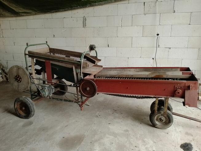 Sortownik do ziemniaków