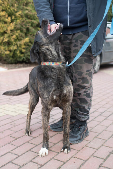 Axa - cudowna dziewczyna do pokochania od zaraz!