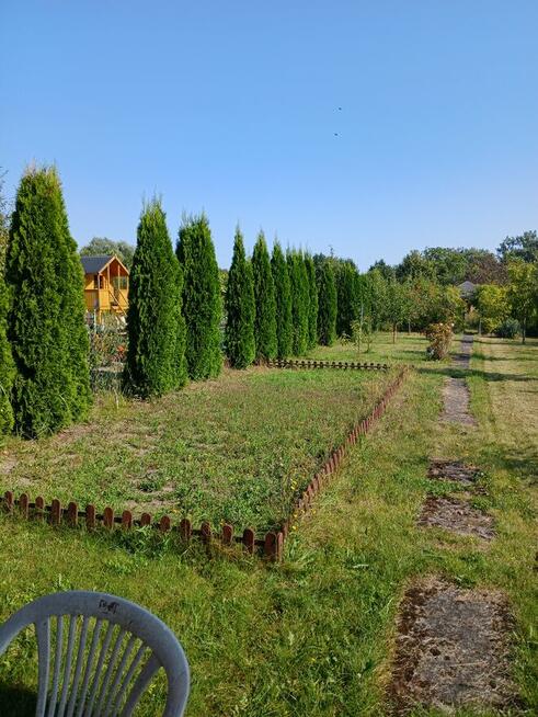 SPRZEDAM DZIAŁKĘ ROD W MYŚLIBORZU