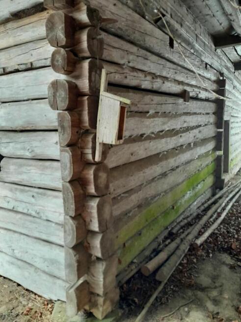 Dom z bali do przeniesienia