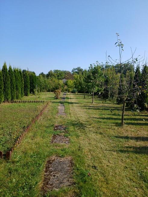 SPRZEDAM DZIAŁKĘ ROD W MYŚLIBORZU