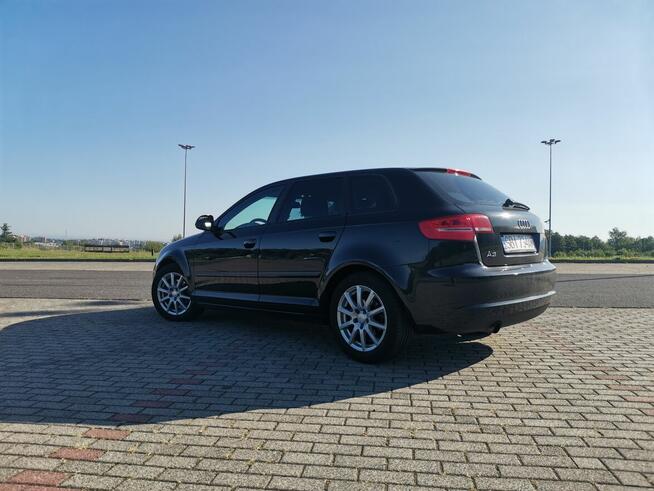 Audi a3 8p 1.6 tdi 105km