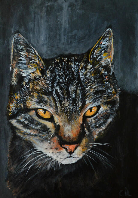 Portrety ludzi i pupili – wyjątkowe obrazy na zamówienie