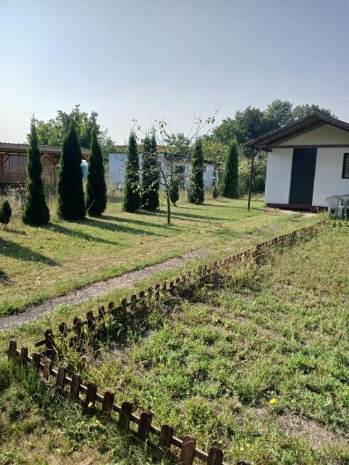 SPRZEDAM DZIAŁKĘ ROD W MYŚLIBORZU