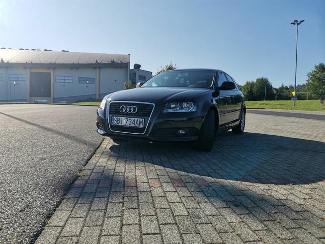 Audi a3 8p 1.6 tdi 105km
