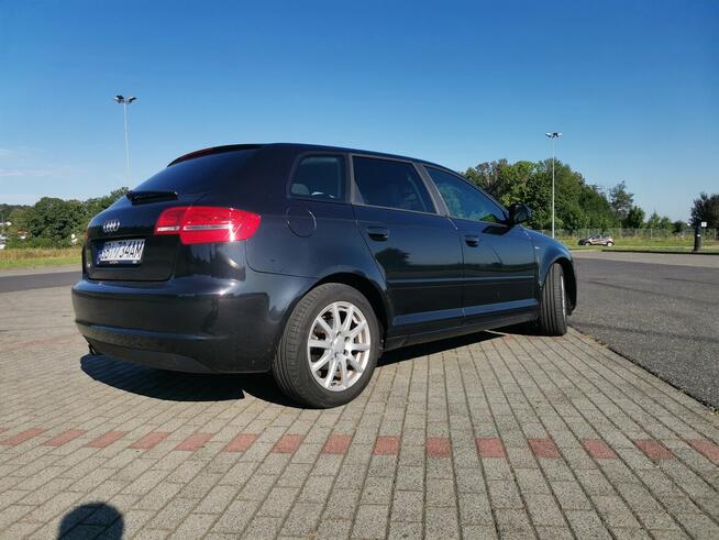 Audi a3 8p 1.6 tdi 105km
