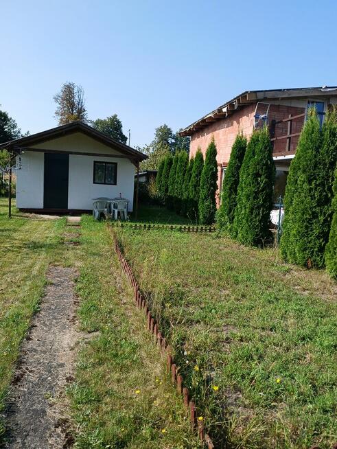 SPRZEDAM DZIAŁKĘ ROD W MYŚLIBORZU