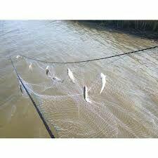 sieci na ryby;drygawica wonton zak mieroza przestawa