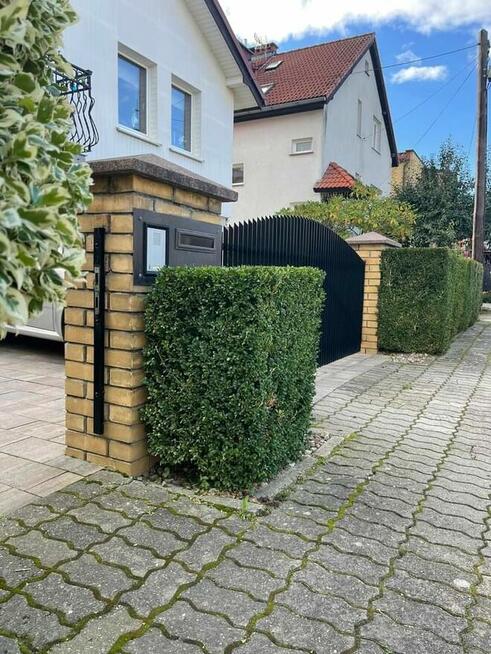 Praca / Usługa Ogrodnicza.