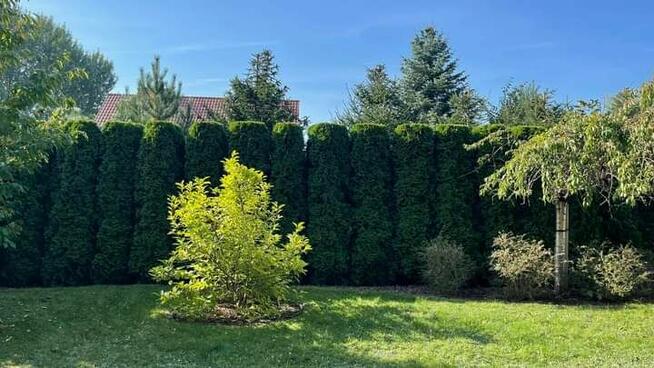 Praca / Usługa Ogrodnicza.