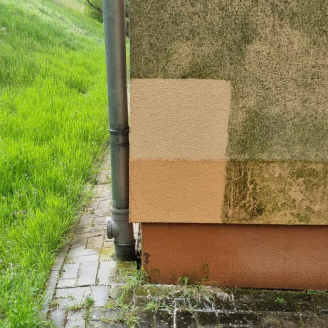 Mycie, odgrzybianie elewacji