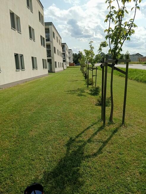 Praca / Usługa Ogrodnicza.