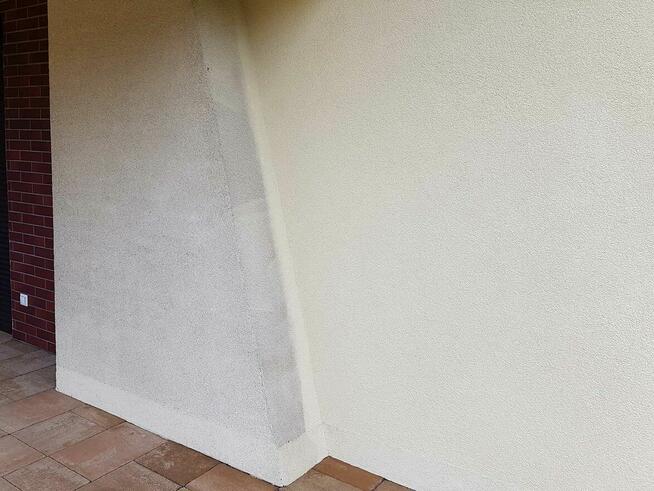 Mycie, odgrzybianie elewacji