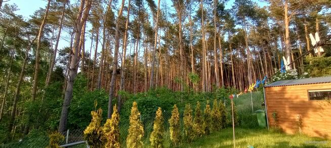 Działka nad jeziorem - Wiktorowo