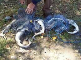 sieci rybackie typu; wonton, drygawica, słęp, zak