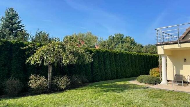 Praca / Usługa Ogrodnicza.