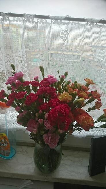 Dość duża pani szuka pana.....