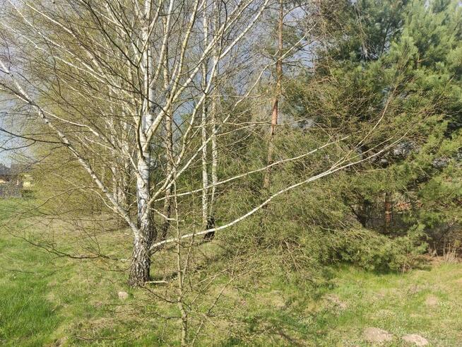 Działka budowlana Kuby-Młyny gm. Morawica