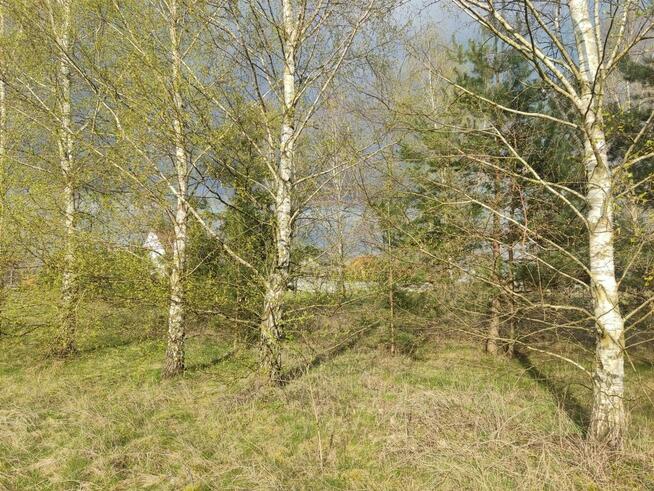 Działka budowlana Kuby-Młyny gm. Morawica