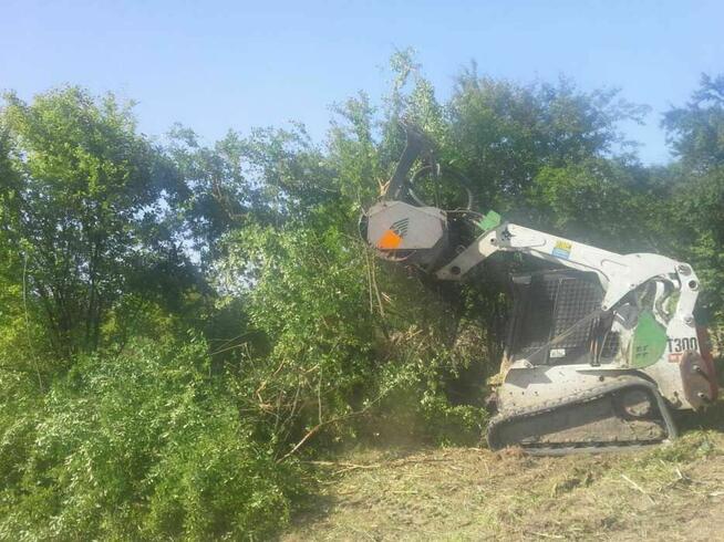 Wycinka drzew oczyszczanie działek mulczer leśny karczowanie
