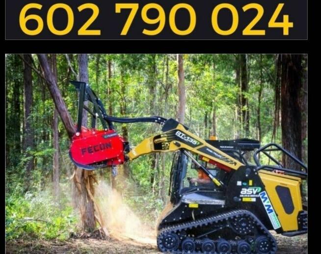 Wycinka drzew oczyszczanie działek mulczer leśny karczowanie