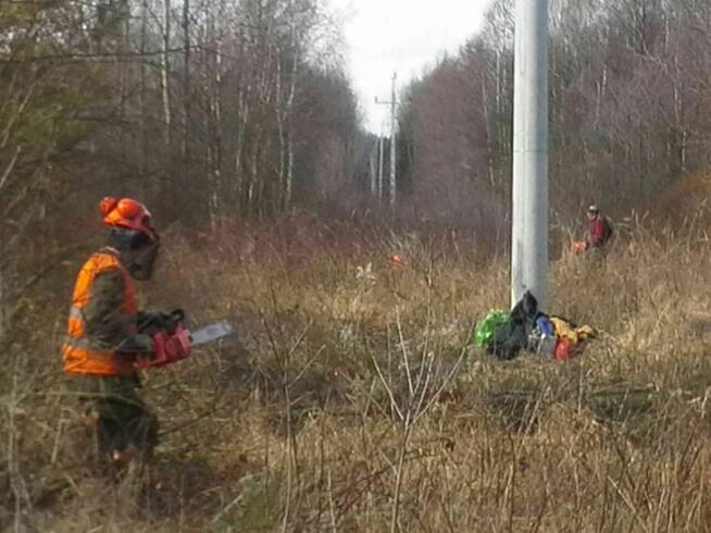 oczyszczanie działek mulczer leśny karczowanie
