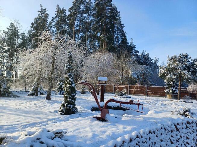 Dom całoroczny drewniany