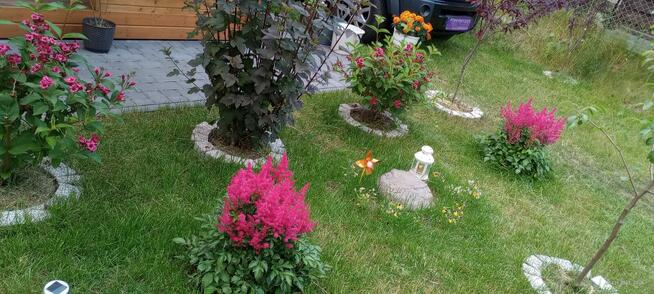 Działka nad jeziorem - Wiktorowo