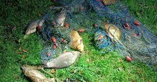 sieci rybackie typu; wonton, drygawica, słęp, zak