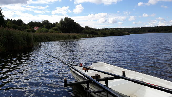 Działka nad jeziorem - Wiktorowo