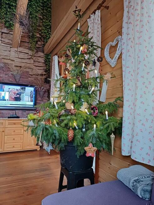 Dom całoroczny drewniany