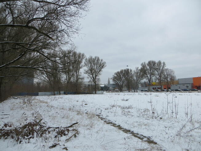 Nieruchomość gruntowa od syndyka - Warszawa, Jagiellońska