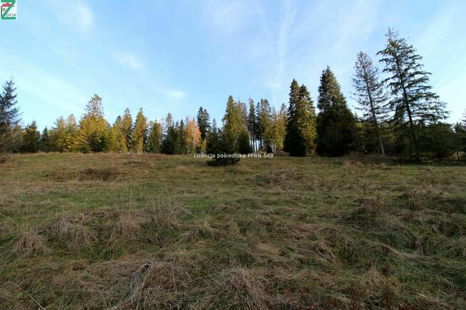 Działka o powierzchni 4290 m2