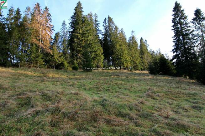 Działka o powierzchni 4290 m2