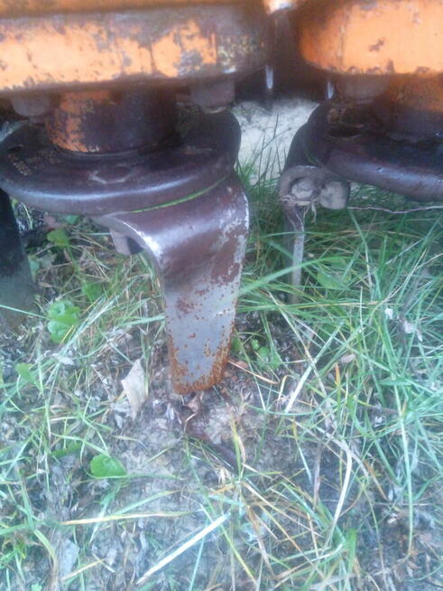 Brona aktywna Amazone