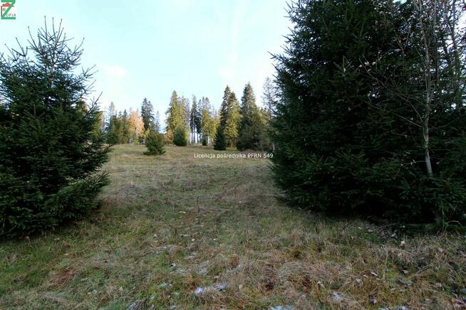 Działka o powierzchni 4290 m2