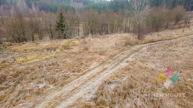 Wójtowo - Krokusowa/Sasanki blisko Nikielkowa