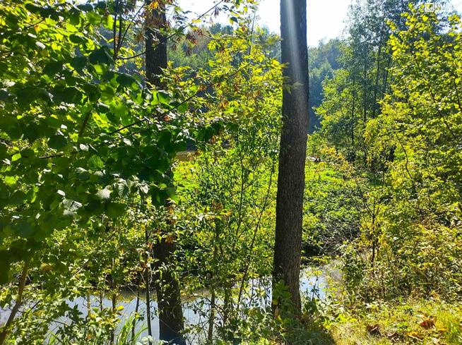 Dom Cynków gm. Nałęczów